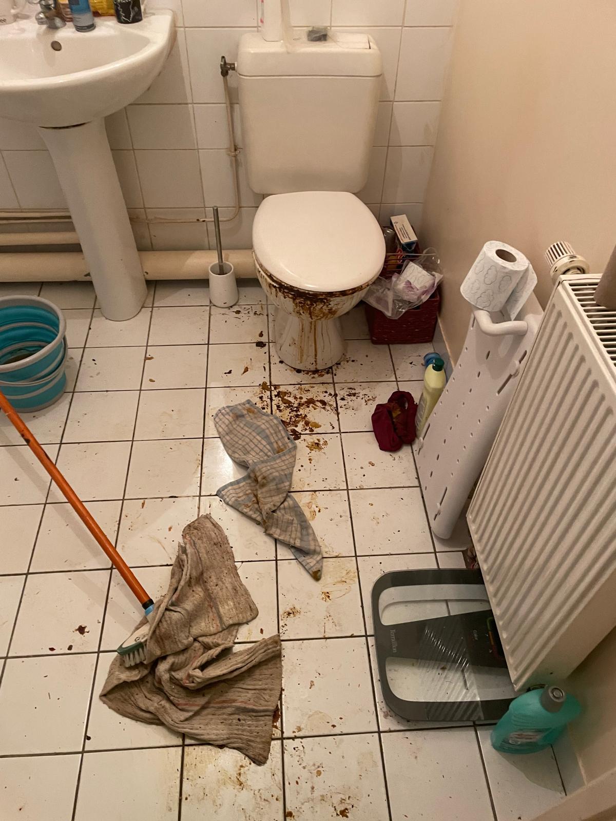 Que faire si des traces de moisissures reviennent après le chantier ? – SOS DC à Tourcoing et ses environs IMG 20250711 WA0007