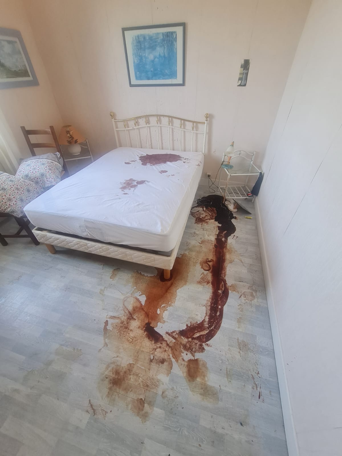 Comment protéger la cage d’escalier et l’ascenseur pendant le débarras d’un logement extrême à Tourcoing et ses environs PHOTO 2024 10 15 10 50 29