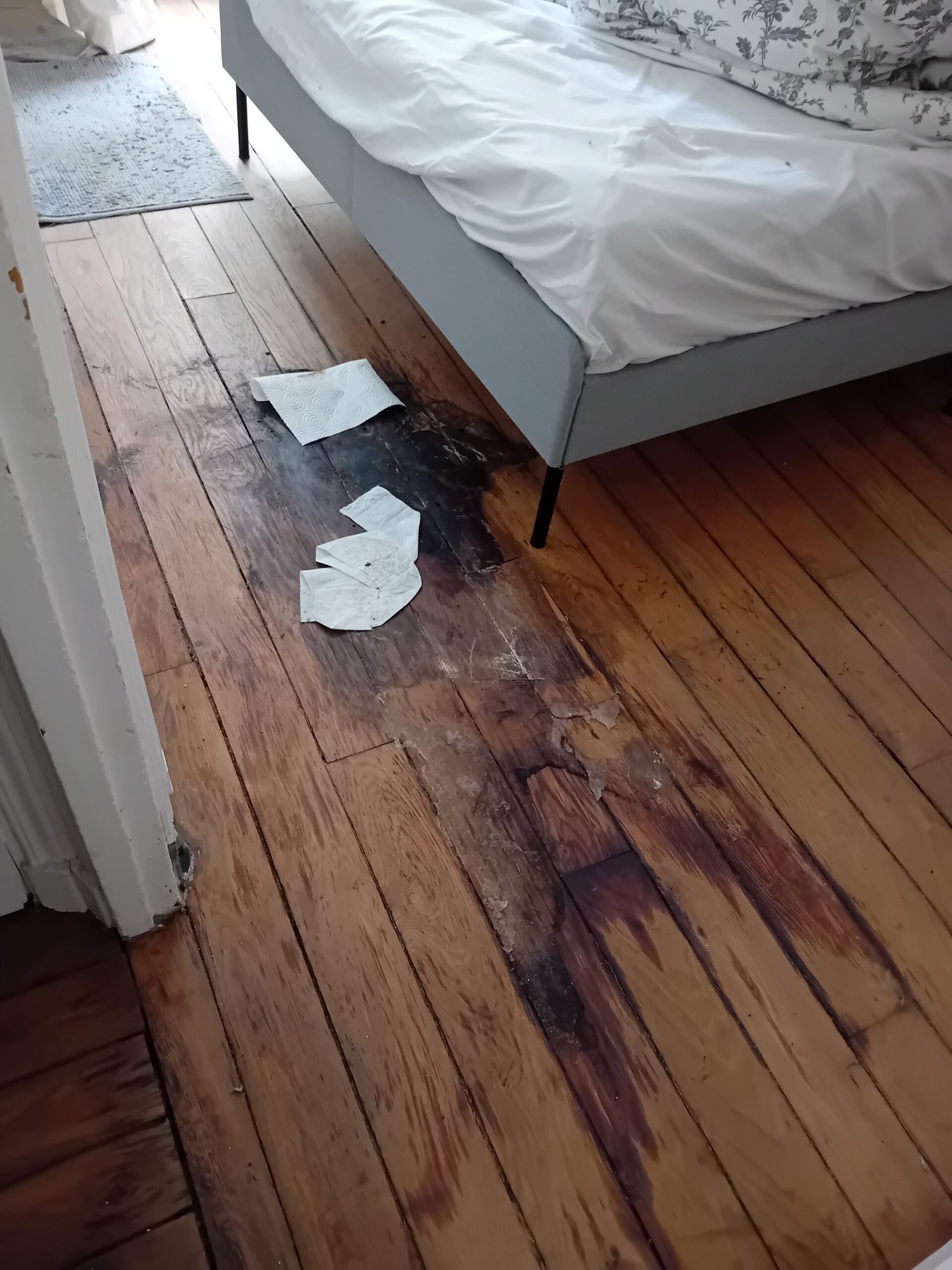 SOS DC : Comment gérer un cas où il y a à la fois décès, Diogène et nuisibles dans le même logement à Tourcoing et ses environs Pierre Chambre 2 Scaled
