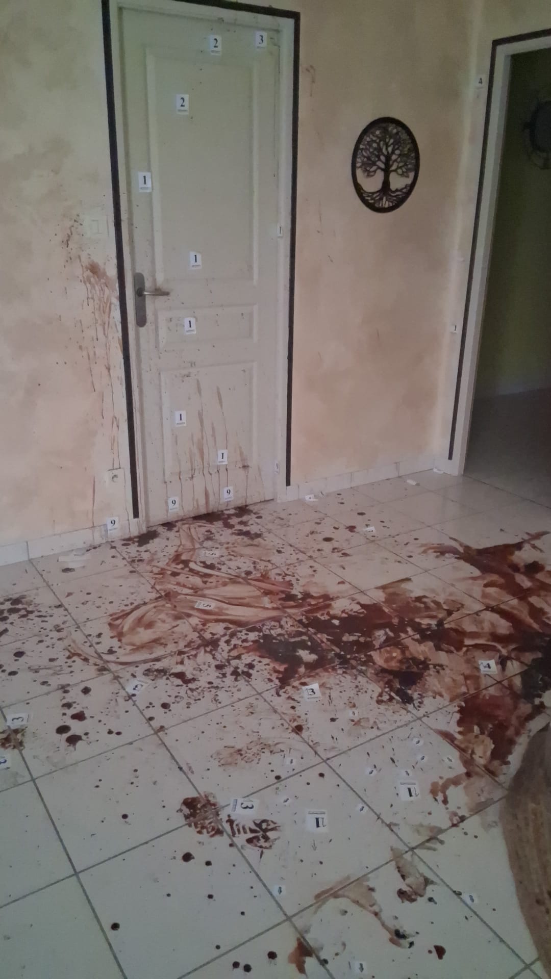 Quels risques pour la santé si on nettoie soi-même une scène de décès sans protection ? Le regard de SOS DC à Tourcoing et dans les villes environnantes WhatsApp Image 2025 04 17 A 15.42.12 34fb85a2