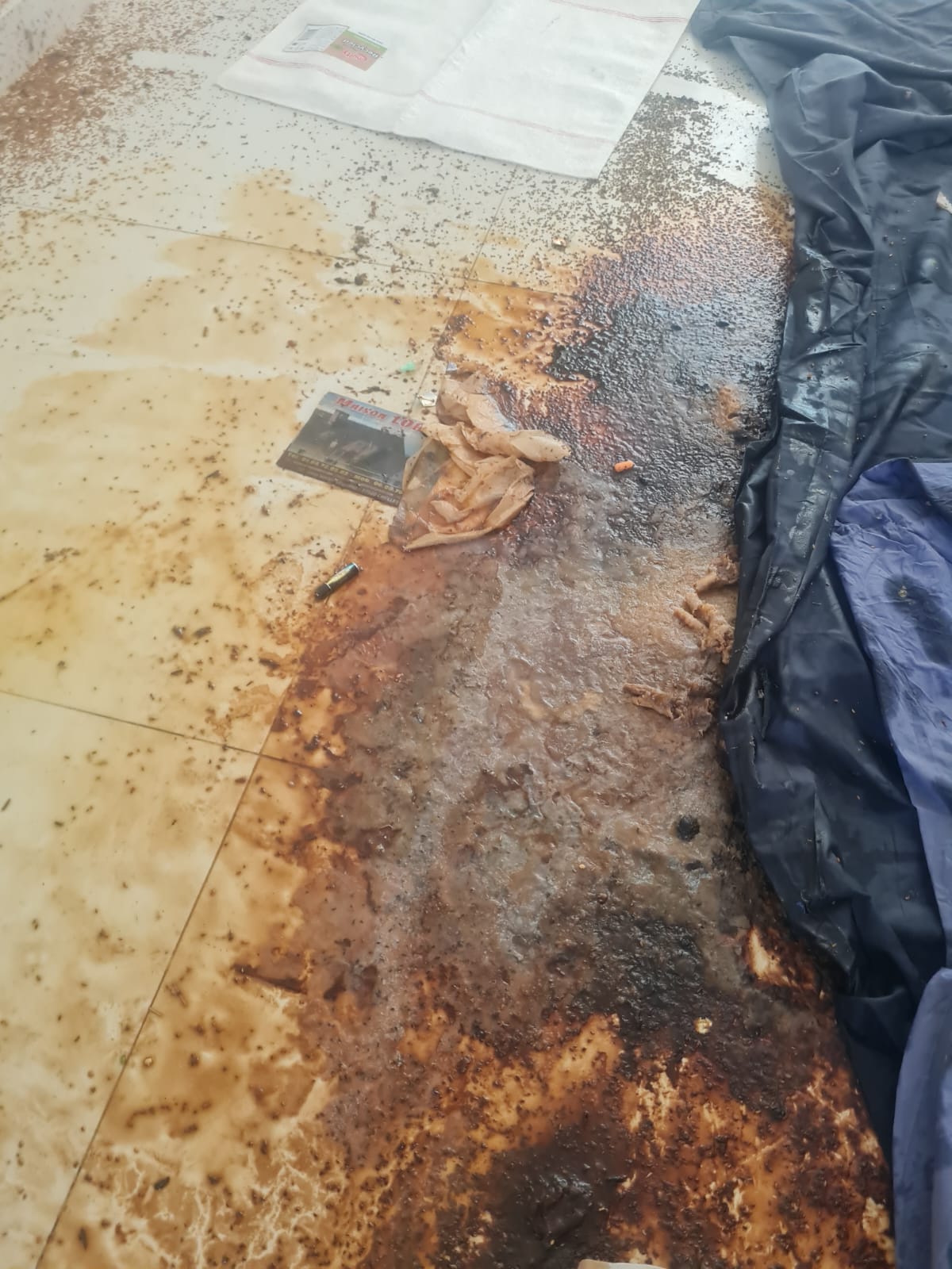 Que faire si, après le nettoyage, l’odeur de décomposition revient dans le salon ? L’expertise de SOS DC à Tourcoing et dans les villes environnantes WhatsApp Image 2025 04 18 A 17.15.45 1a9338eb