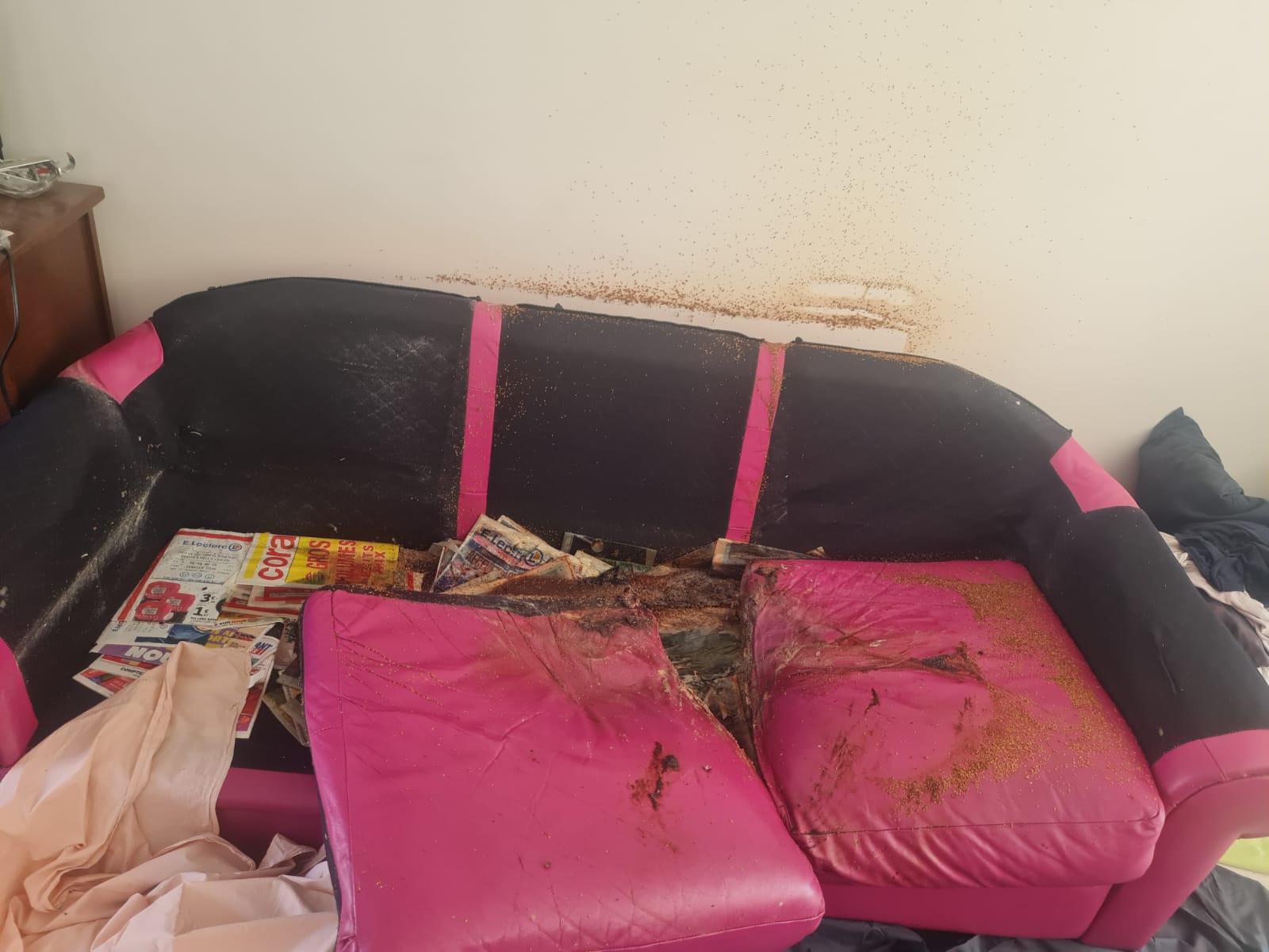 Quelles sont les grandes étapes d’une intervention dans un logement en syndrome de Diogène ?L’expertise de SOS DC à Tourcoing et dans les villes environnantes WhatsApp Image 2025 04 18 A 17.15.46 7c03292f