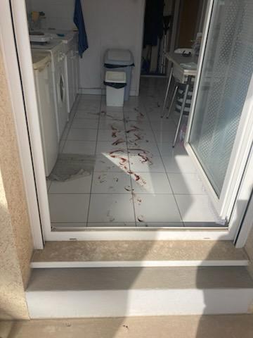 SOS DC à Tourcoing : Que faire si, à l’ouverture, un logement est infesté de mouches, d’odeurs insoutenables et de déchets organiques ? WhatsApp Image 2025 10 13 At 19.35.08